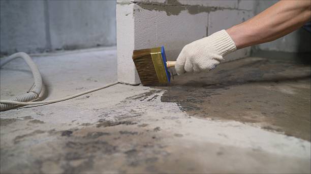 SJ Waterproofing Pros Waterproofing coverage map for Eva, AL and surrounding area